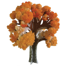 Load image into Gallery viewer, Crystal Maple Growing Tree Kit
