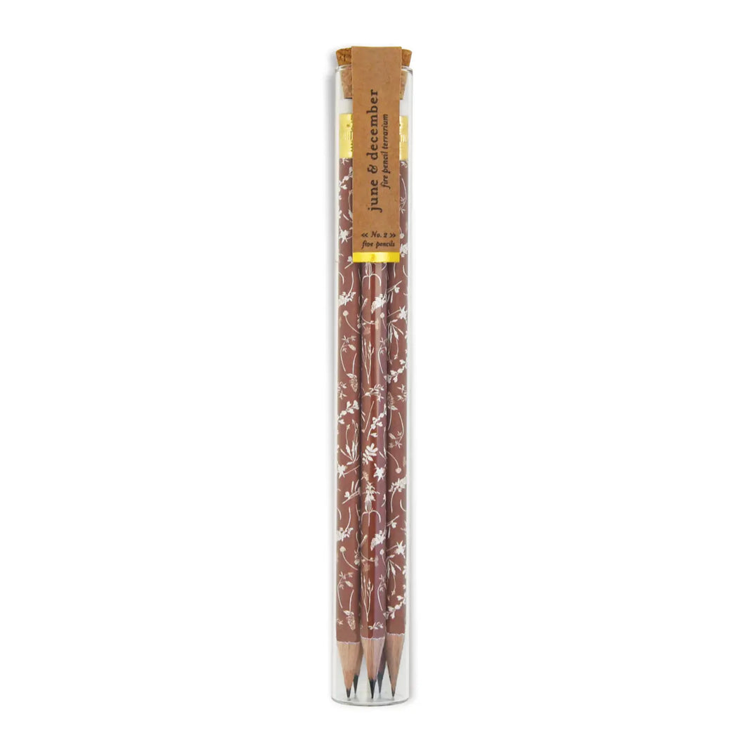 Fire Pencil Terrarium | Set of 5