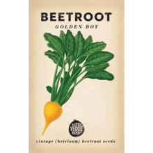 Load image into Gallery viewer, Beetroot Heirloom Seeds | Golden Boy
