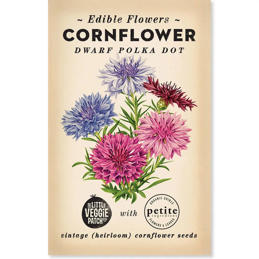 Cornflower