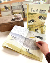 Load image into Gallery viewer, The Beach Birds
