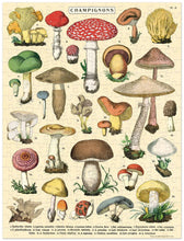 Load image into Gallery viewer, Mushrooms Mini Puzzle | 240 Pieces
