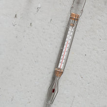 Load image into Gallery viewer, Cage Thermometer
