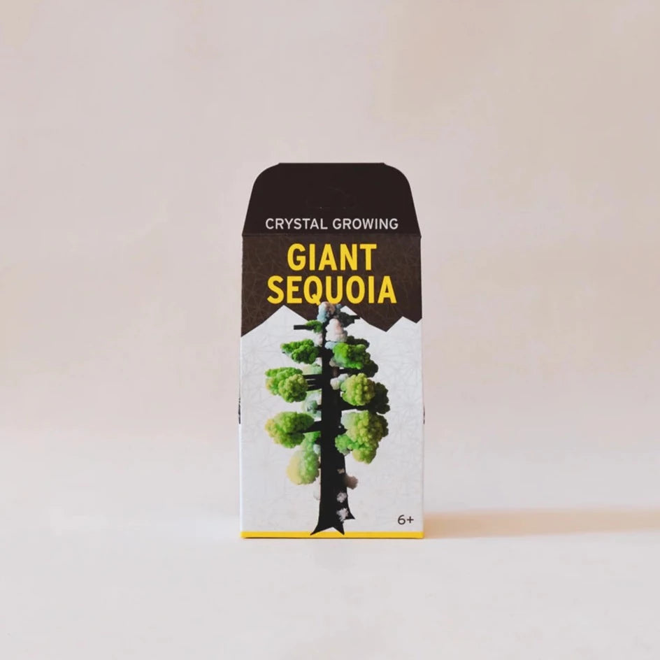 Giant Sequoia | Crystal Growing Kit