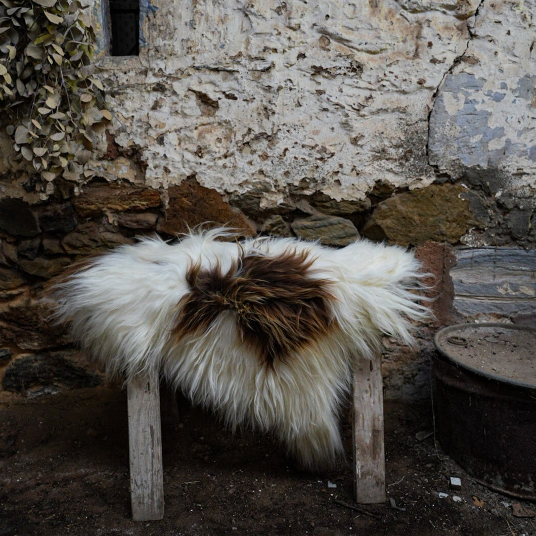 Icelandic Sheepskin Hide | Brown and White