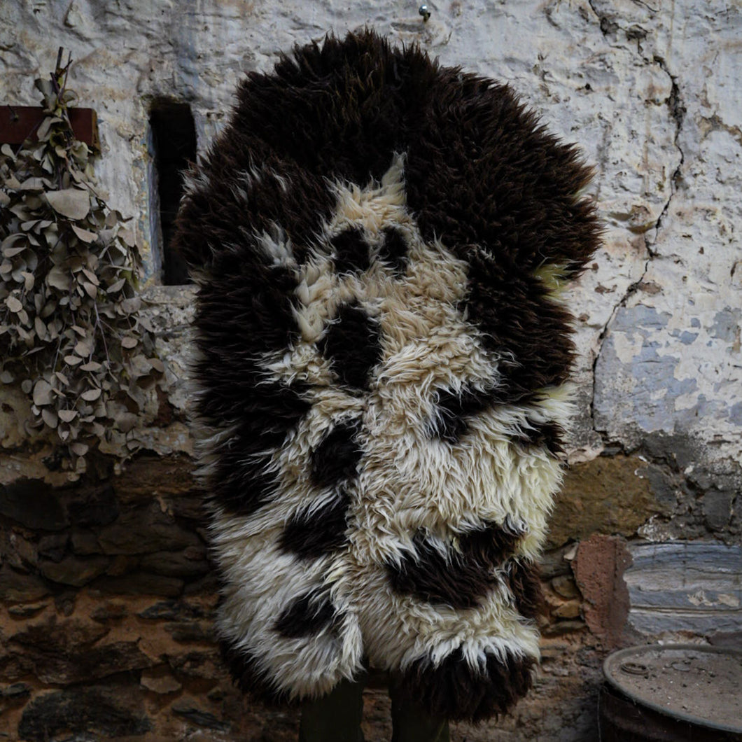 Woodland Sheepskin Rug Extra Large | Dark Brown and White