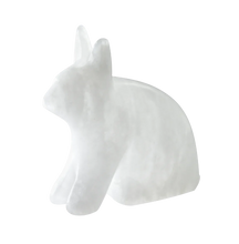 Load image into Gallery viewer, Soapstone Carving Kit | Arctic Hare
