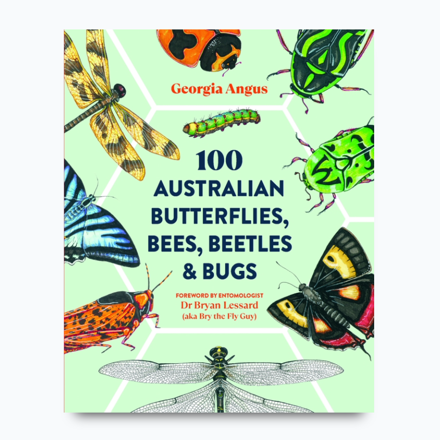 100 Australian Butterflies, Bees, Beetles and Bugs