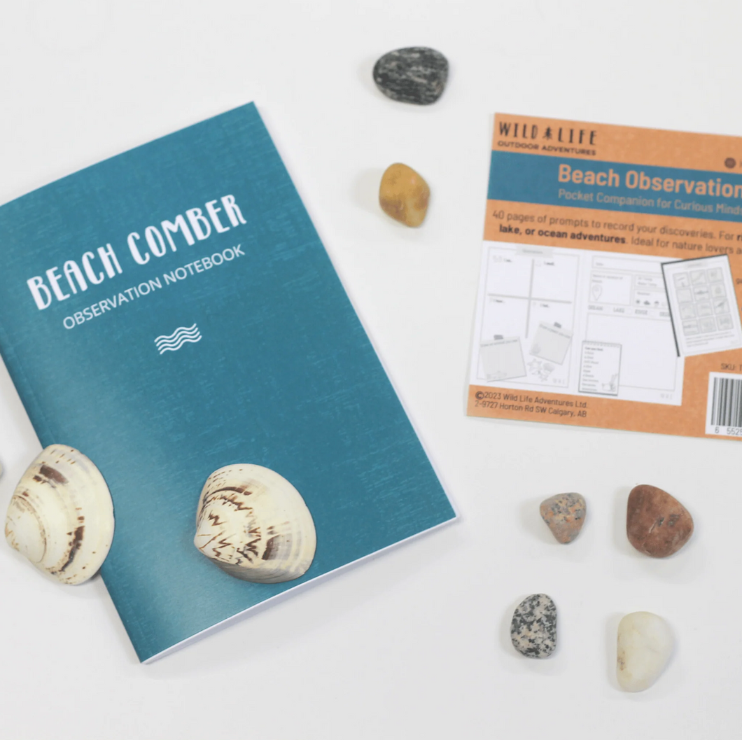 Beach Comber Notebook