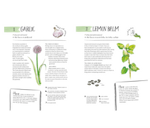 Load image into Gallery viewer, Magic of Seeds : The Nature-lovers Guide to Growing Garden Flowers and Herbs
