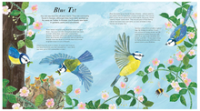 Load image into Gallery viewer, Birds of a Feather | Press Out and Learn
