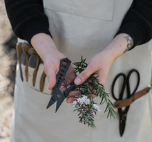 Load image into Gallery viewer, Herb Harvest and Strip Tool
