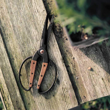 Load image into Gallery viewer, Large Scissors | Walnut
