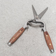 Load image into Gallery viewer, Flower Snips | Brass Pins
