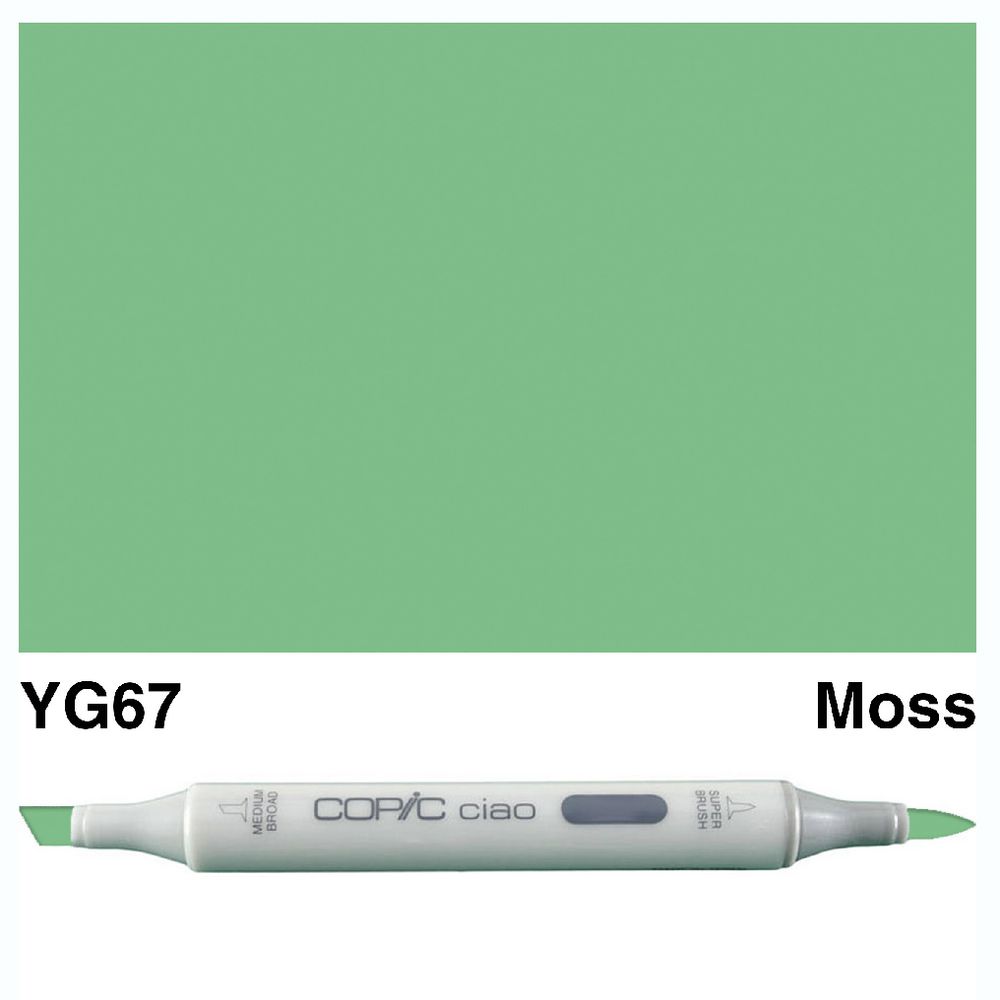 Copic Ciao | Moss YG67