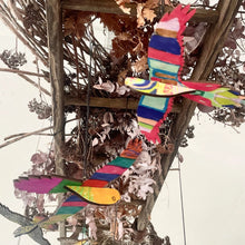 Load image into Gallery viewer, Paint A Parrot | DIY
