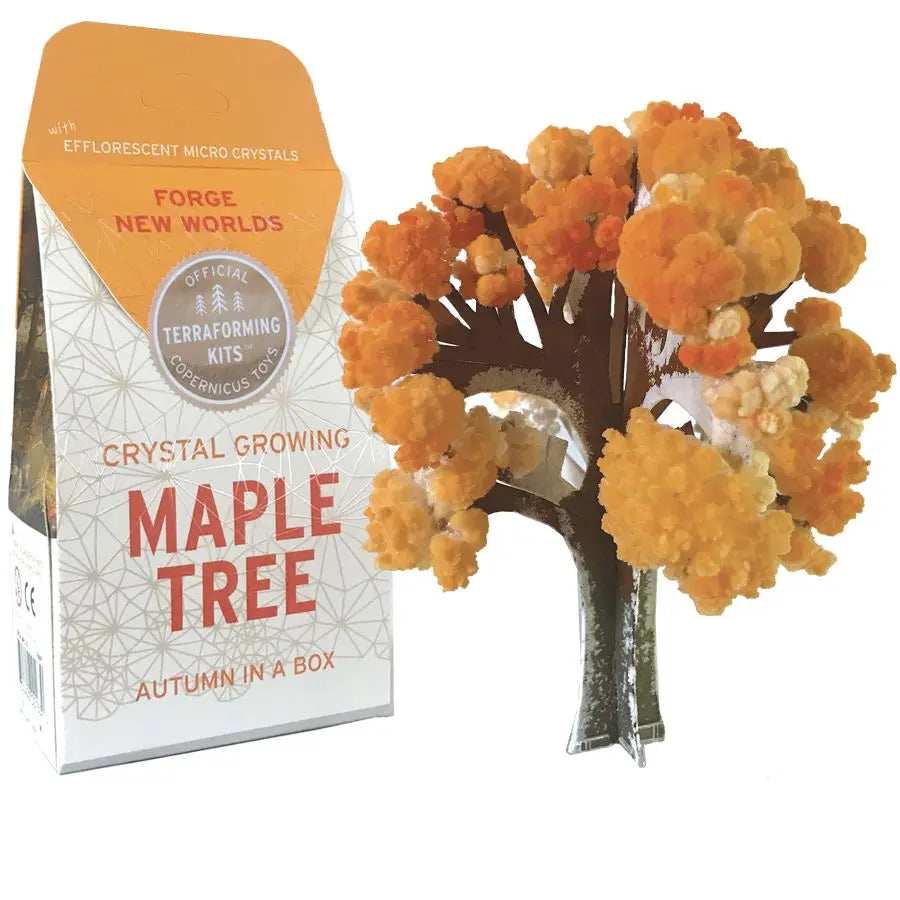 Crystal Maple Growing Tree Kit