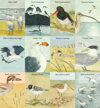Load image into Gallery viewer, The Beach Birds Card Game
