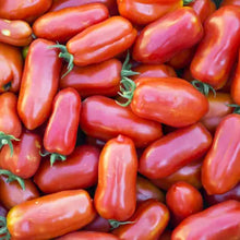 Load image into Gallery viewer, Tomato Heirloom Seeds | San Marzano
