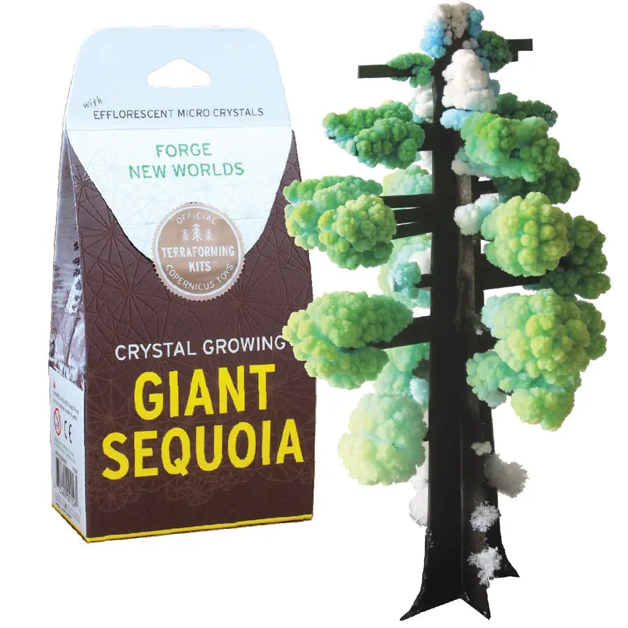 Crystal Sequoia Growing Tree Kit