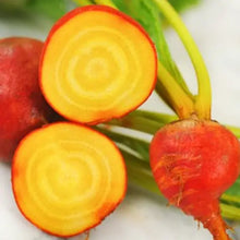 Load image into Gallery viewer, Beetroot Heirloom Seeds | Golden Boy
