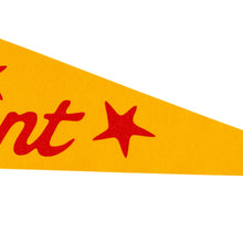 Load image into Gallery viewer, Make It Count Pennant
