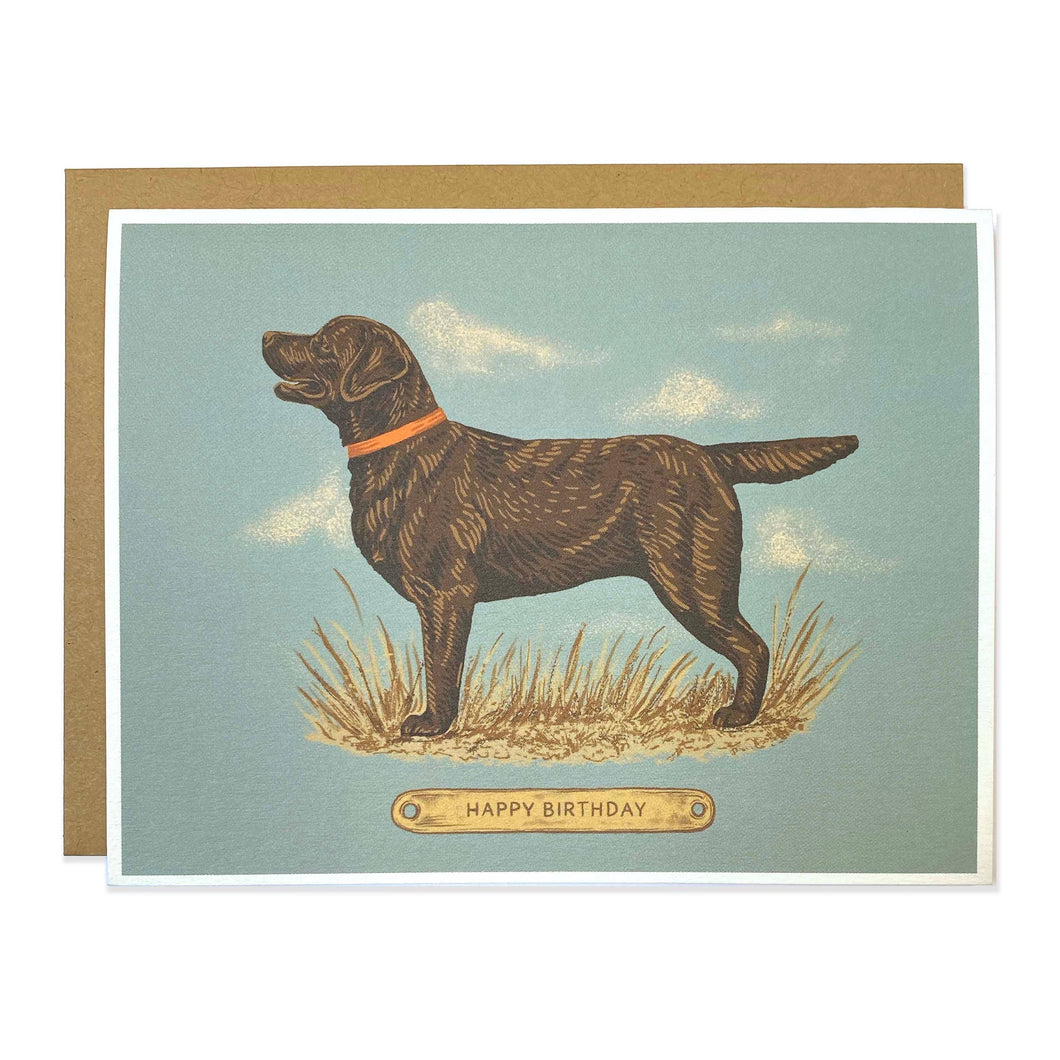 Happy Birthday Chocolate Lab Greeting Card