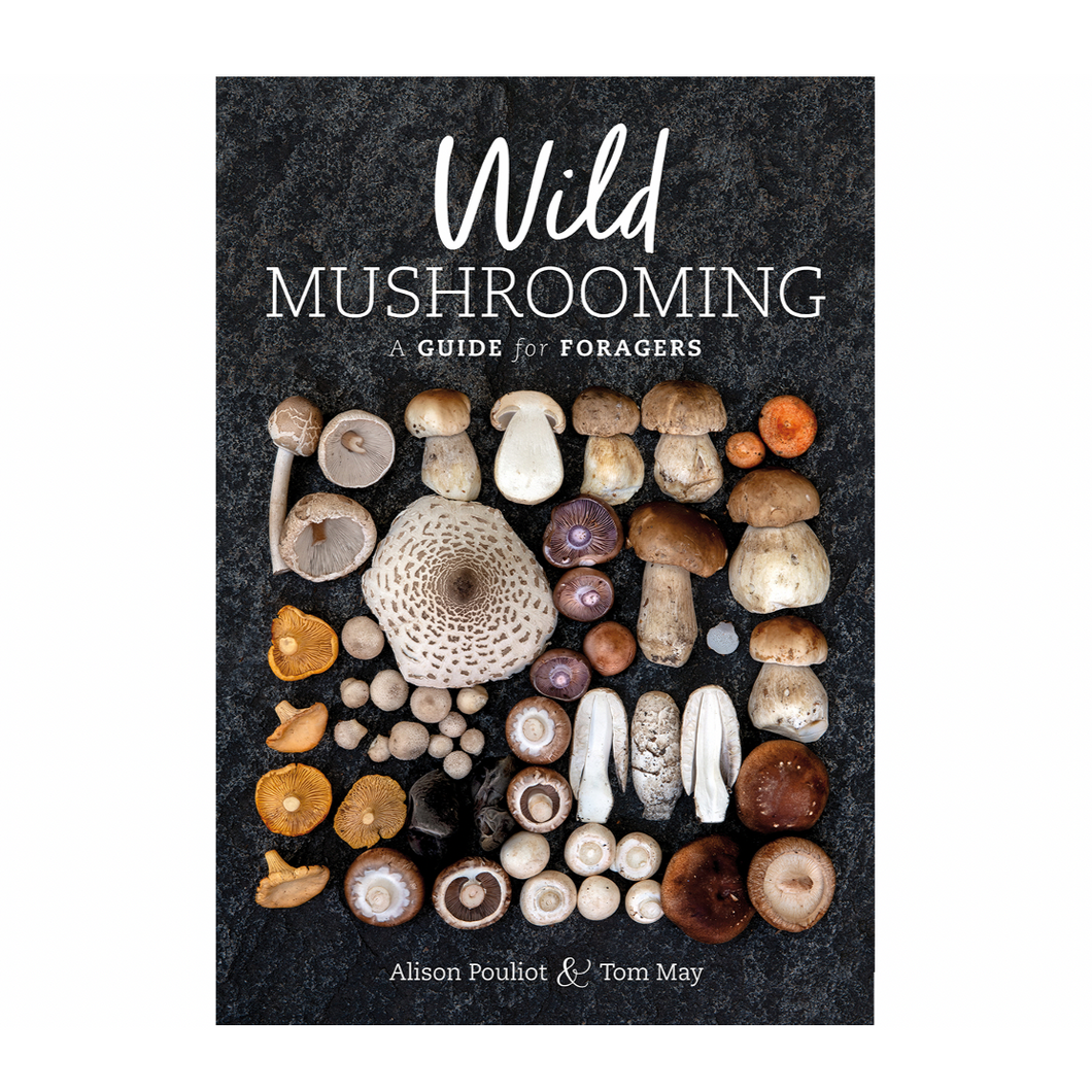 Wild Mushrooming