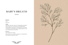 Load image into Gallery viewer, Floriography: An Illustrated Guide to the Victorian Language of Flowers
