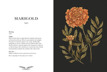Load image into Gallery viewer, Floriography: An Illustrated Guide to the Victorian Language of Flowers
