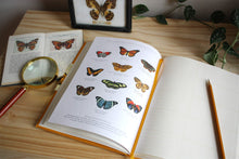 Load image into Gallery viewer, Observer&#39;s Notebook | Butterflies
