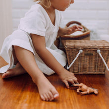 Load image into Gallery viewer, Piki Basket
