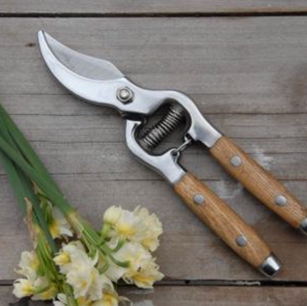 Wood Secateurs