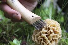 Load image into Gallery viewer, No.8 Mushroom Knife
