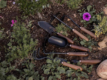 Load image into Gallery viewer, Dandelion Weeding Fork
