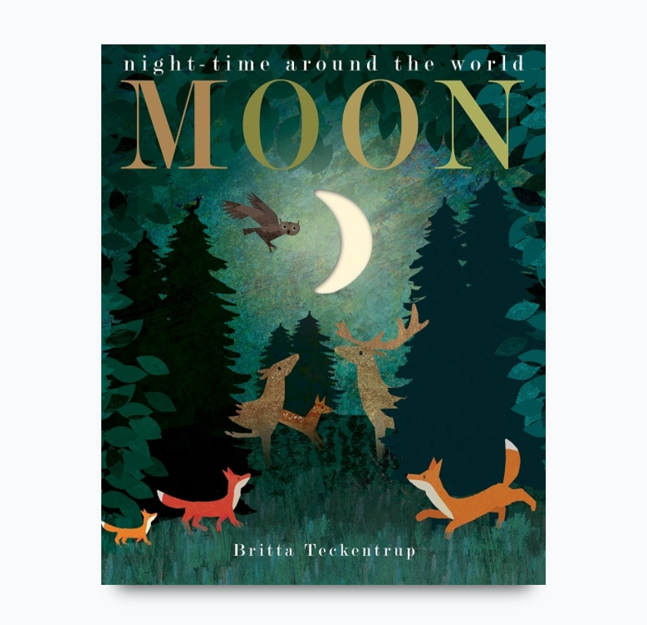 Moon | Board Book