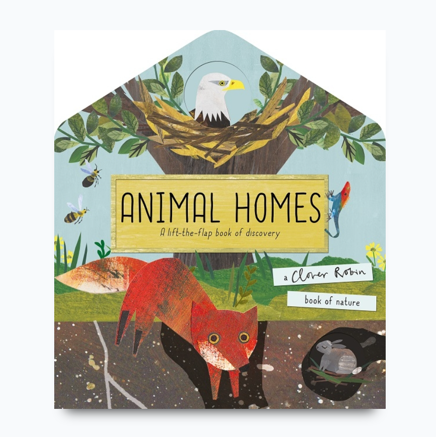Animal Homes | Board Book