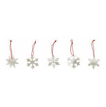 Load image into Gallery viewer, Snow Flake Ornaments | Silver
