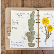 Load image into Gallery viewer, Herbarium Journal
