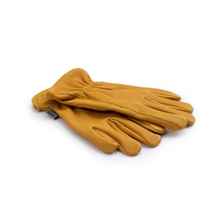 Load image into Gallery viewer, Classic Work Glove | Yellow
