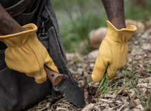 Load image into Gallery viewer, Classic Work Glove | Yellow
