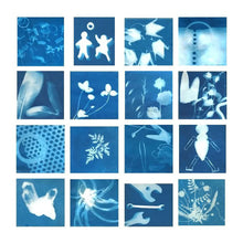 Load image into Gallery viewer, Sunprint Kit
