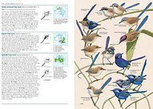 Load image into Gallery viewer, Field Guide To Birds Of Australia 8th Edition
