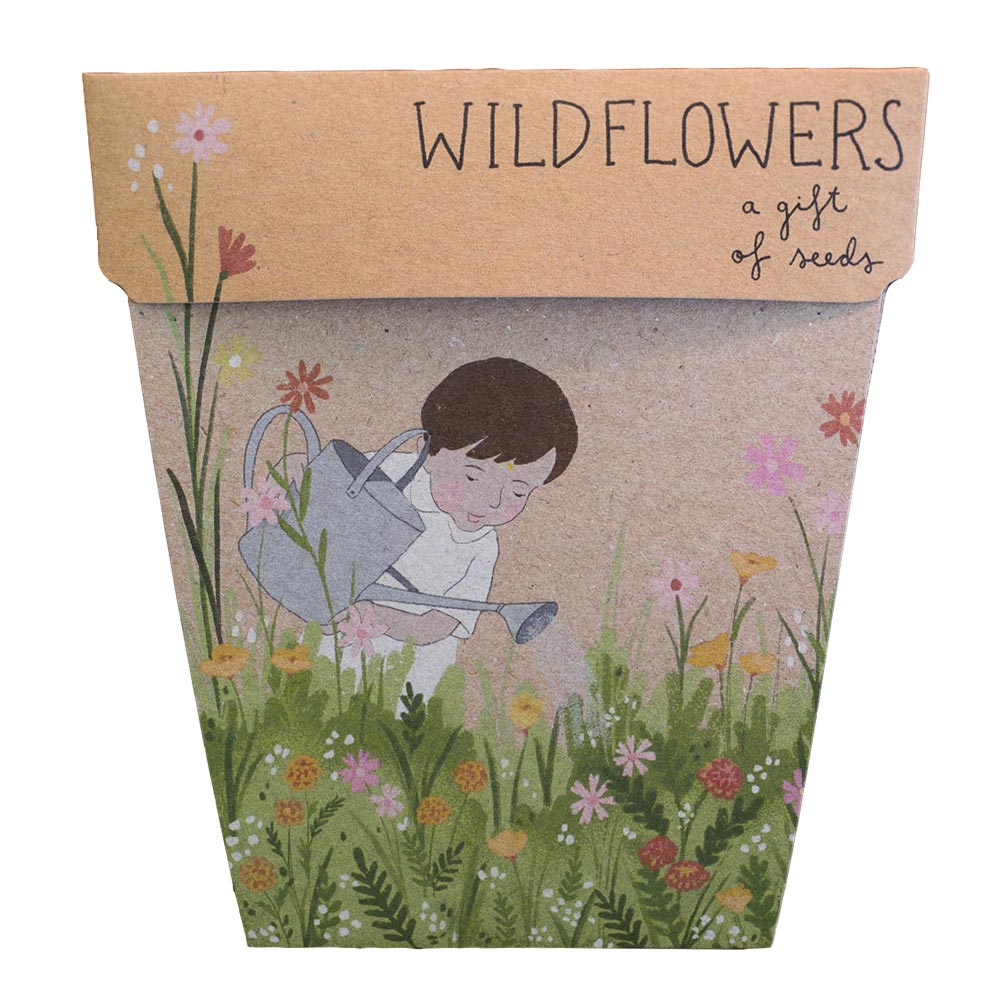 A Gift Of Seeds 'Wildflowers'