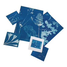 Load image into Gallery viewer, Sunprint Kit | Large
