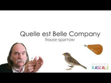 Load and play video in Gallery viewer, Bird Call - House Sparrow
