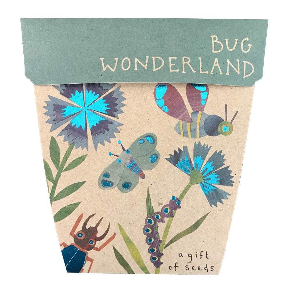 A Gift Of Seeds 'Bug Wonderland'