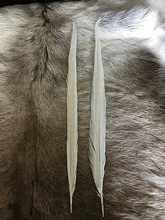 Load image into Gallery viewer, Pheasant Tails - Bleached
