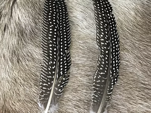 Load image into Gallery viewer, Guinea Fowl Feathers
