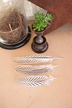 Load image into Gallery viewer, Silver Pheasant Feathers
